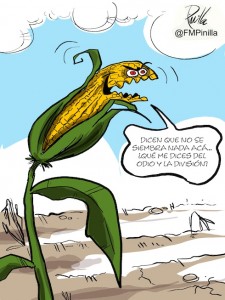 pini