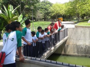 niños