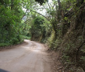 SONY DSC