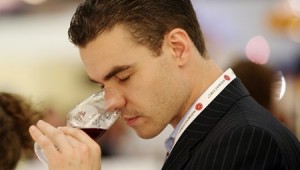 vino 1