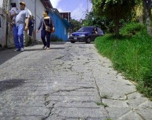 las dalias 1