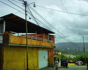 las dalias 2