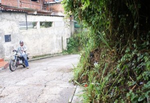 SONY DSC