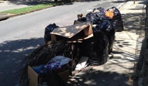 Basura