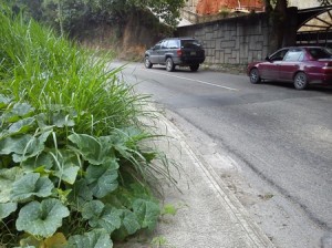 Monte carretera