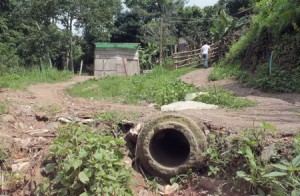 Barrio Nuevo