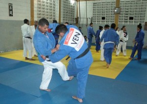 Desafío de Judo