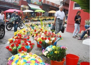 Flores