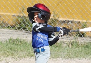 Jornada Béisbol