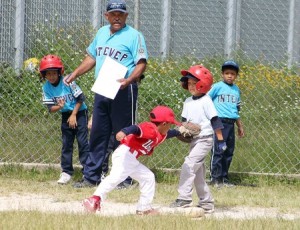 Tigres