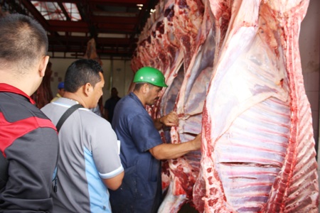 Matadero
