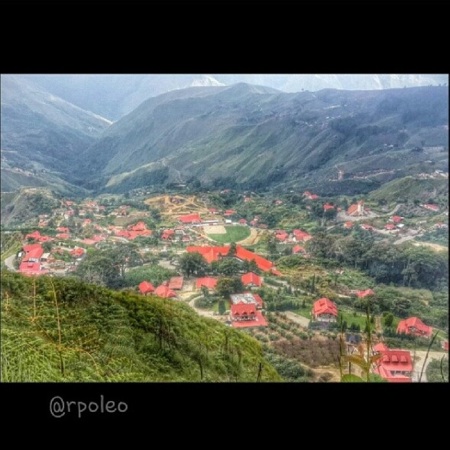 El Jarillo