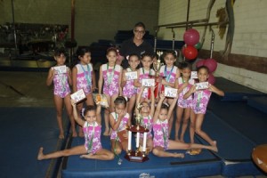 Gimnasia artística(Importante)