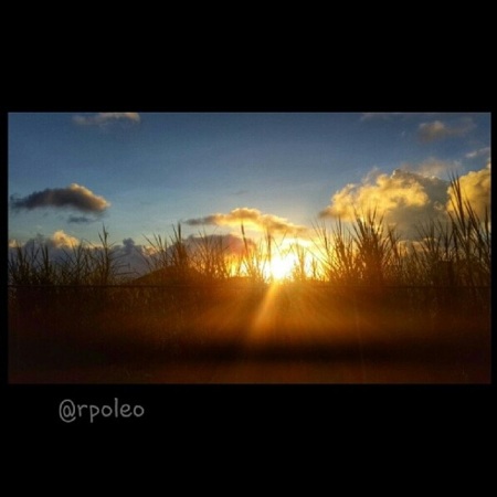 PNM atardecer