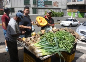 Verduras 06-08-H