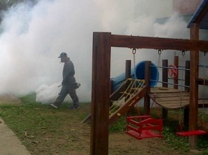 Fumigación IMG_20140108_164156