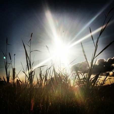 atardecer saa