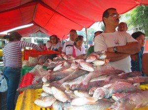 Pescadoweb
