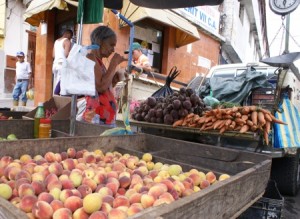 Comerciantes compran directamente a productores de la Colonia Tovar