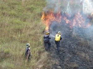 Incendios de vegetación