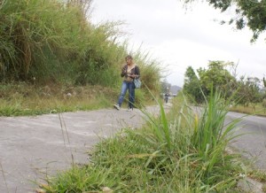 SONY DSC