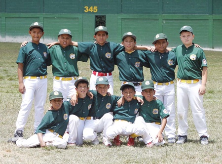 Cachorros