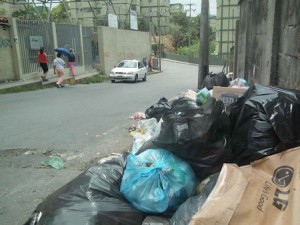 Niños están expuestos a la proliferación de moscas y ratones