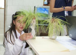 SONY DSC
