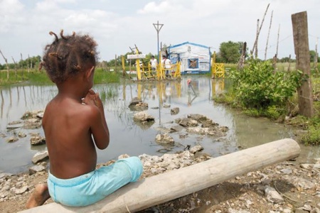 Leptospirosis