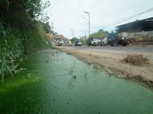 pluma 1