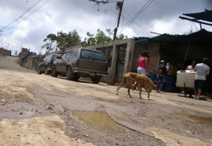 SONY DSC