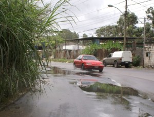 SONY DSC