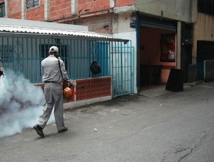 FUMIGACIÓN