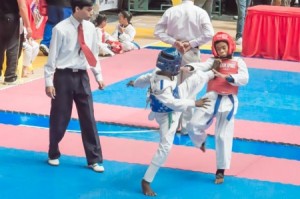 Taekwondo
