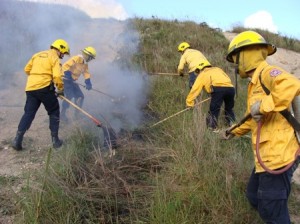 Voluntarios 01