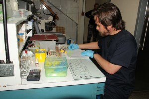 Laboratorios buscan insumos hasta debajo de las piedras