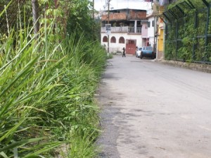 SONY DSC