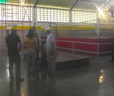 Boxeo
