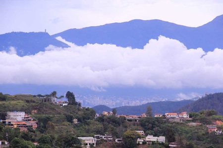 avila