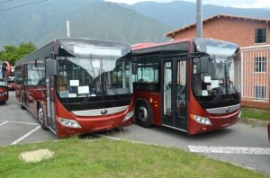 buses