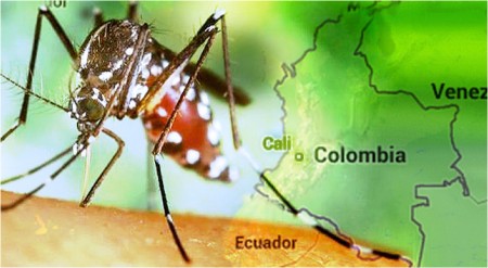 El chikungunya también afecta al país vecino