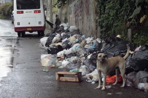 BASURA