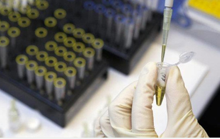 Esta vacuna es vista como una esperanza porque en pruebas realizadas con primates ha demostrado eficacia no solo ayuda a protegerse de una infección de ébola sino también aumenta las posibilidades de sobrevivir