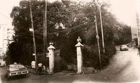 Teola