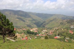 El Jarillo 2