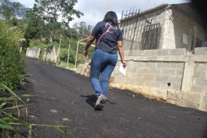 SONY DSC