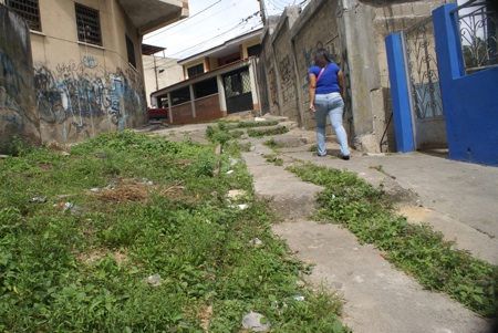 Maleza apoderada de aceras y caminerías en estado deplorable