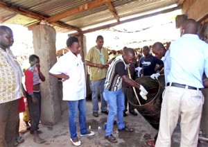 Las autoridades de Mozambique creen que alguien usó el líquido mortífero —de color marrón verdoso, producido en el hígado y almacenado en la vesícula biliar— para contaminar una cerveza