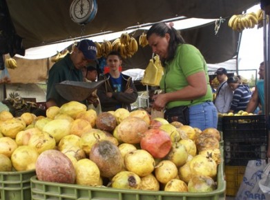 José Echeverría, Presidente de Asovemerpo Reiteró que todo lo que produzca la tierra lo hay, por lo que hay frutas y hortalizas que han bajado de precios notablemente  