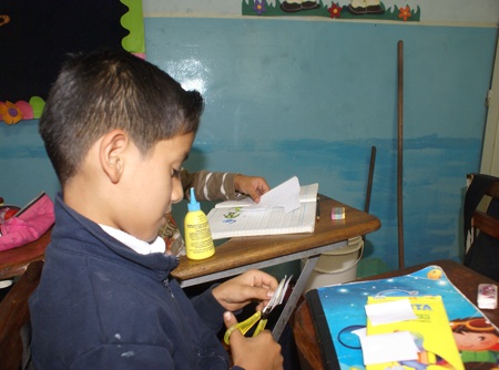 Alumnos trabajan entusiastamente con los valores y clasificación de los animales